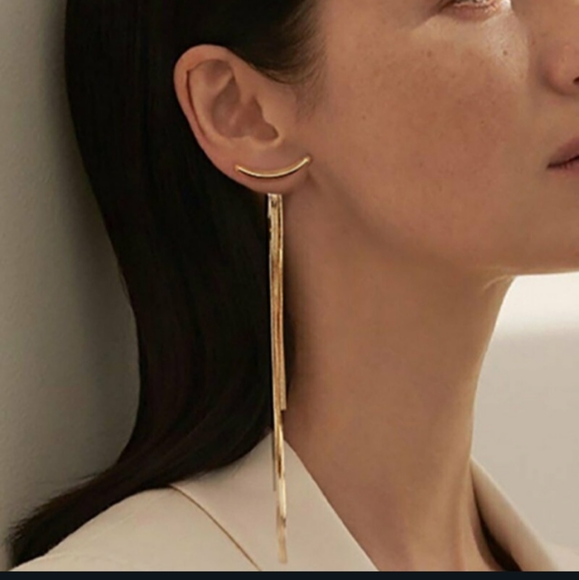 Jewelry - NWT Adorable Gold Tassel Dangling Earrings!